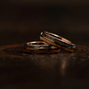 Harmony of the Harvest — Ring of Earth and Sea