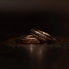 Bounty of the Fields — Ring of Sacred Cycles